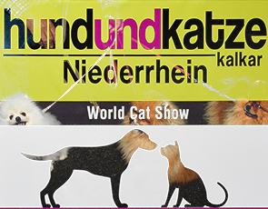 Hund und Katze